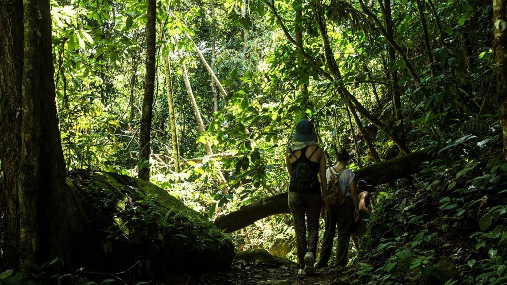 Caminata de contemplación, retiro de bienestar en la selva peruana