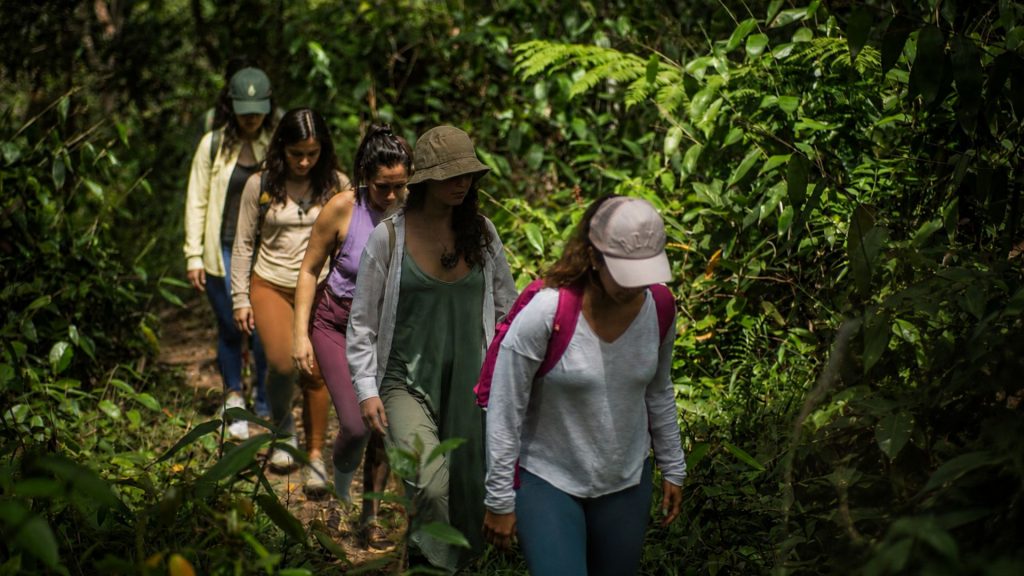 Forest Walk in Tarapoto, Healing Retreat for Women